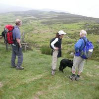 Derbyshire: Keith Lynn and Dudley (Dave Pearson)