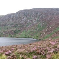 Simdde Ddu (James Richardson)