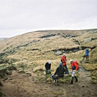 A pause (James Richardson)