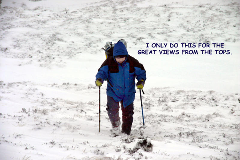 Picture Home Page