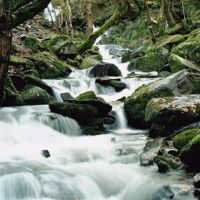 Padarn Country Park (Andrew Croughton)