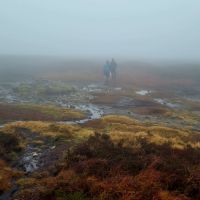 Mug , Mist and heather - all that can be seen (Mark Rothwell)